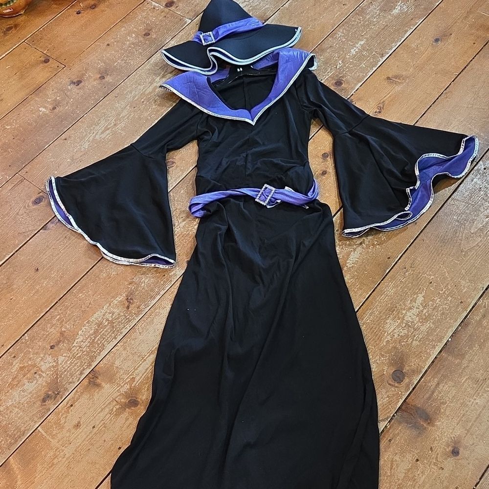 California Costumes Incantasia The Glamour Witch Halloween Costume Sz XL Or Med.